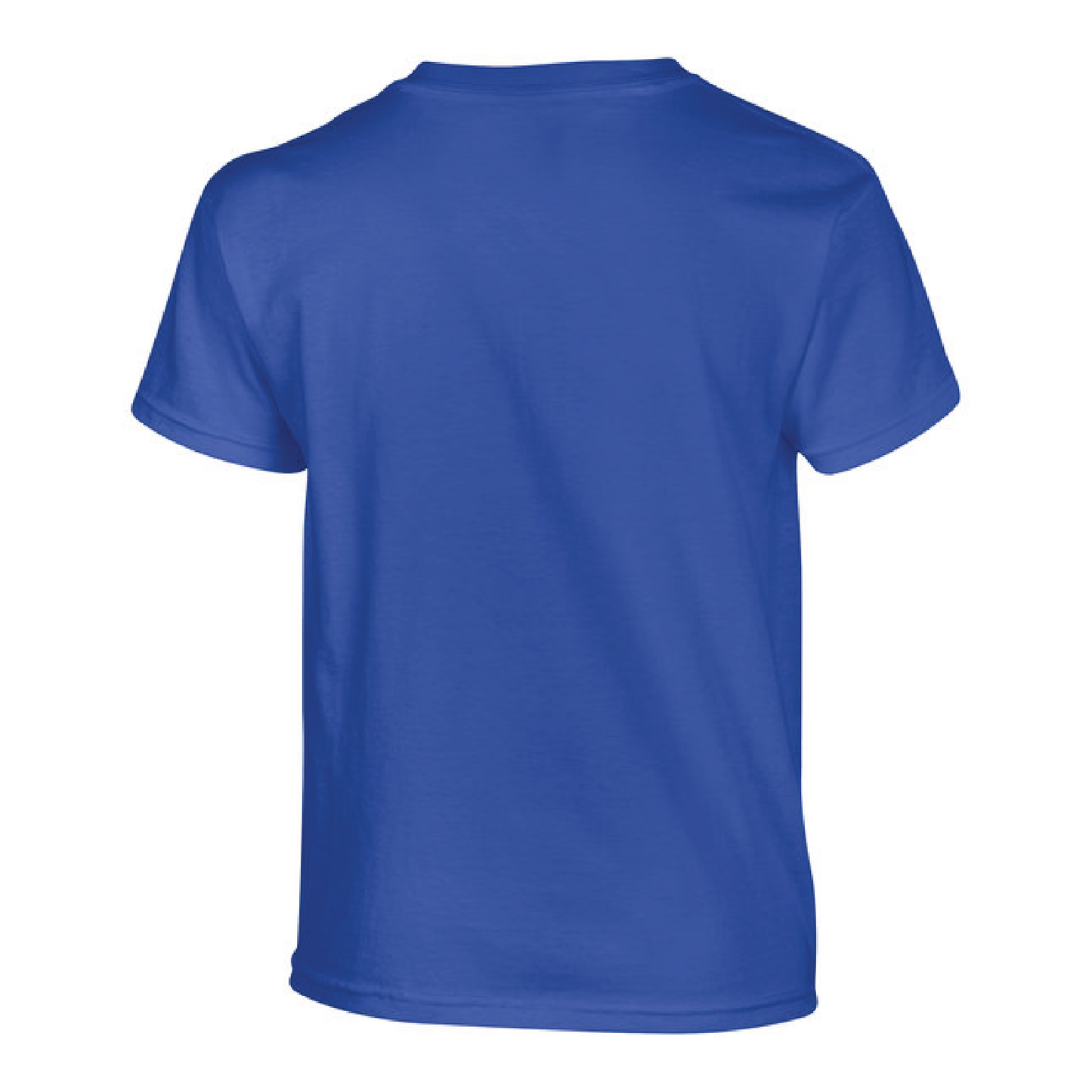 Collegiate Youth Tee