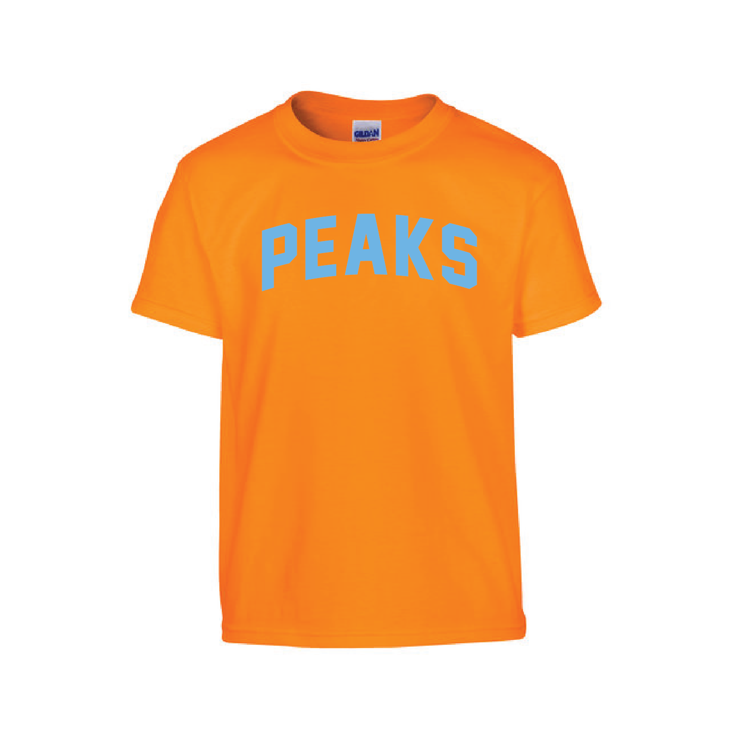 Collegiate Youth Tee