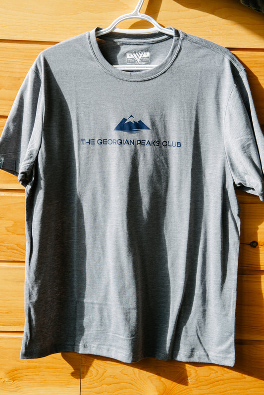 Men's Tees Grey